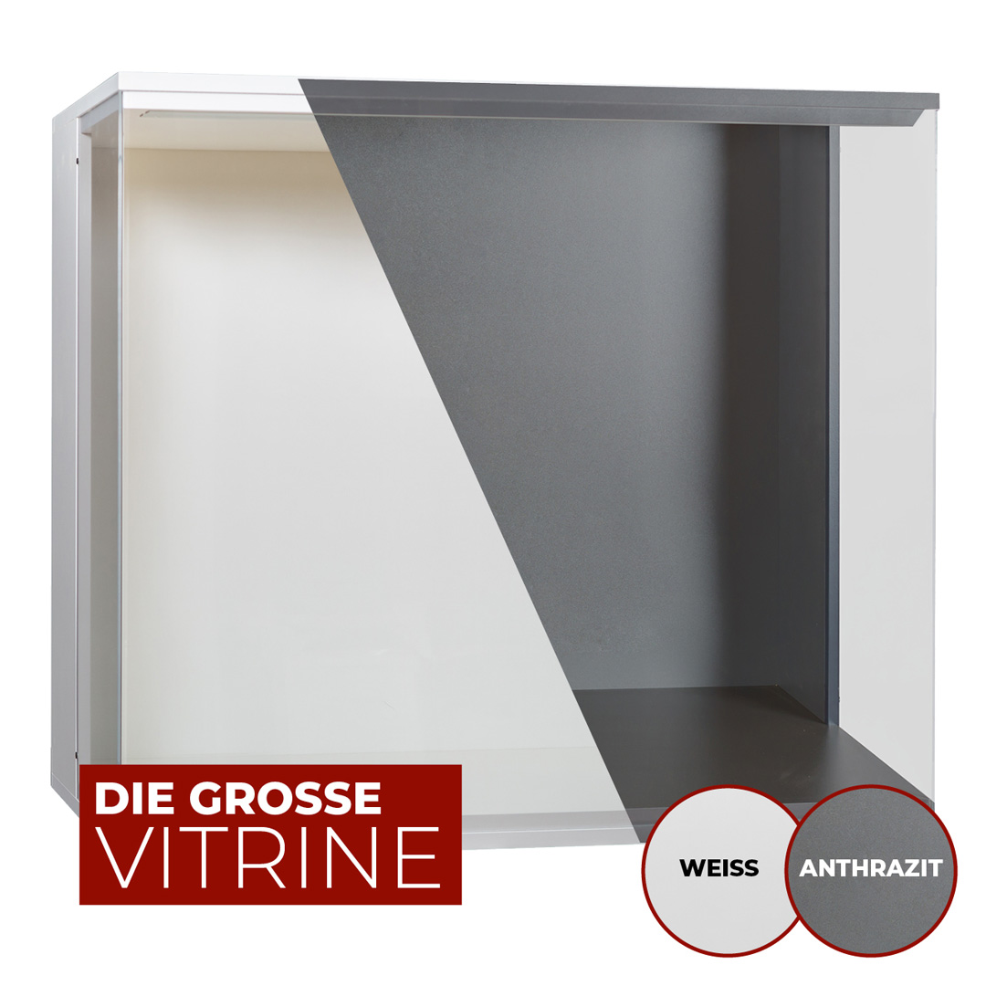 Glasvitrine Groß