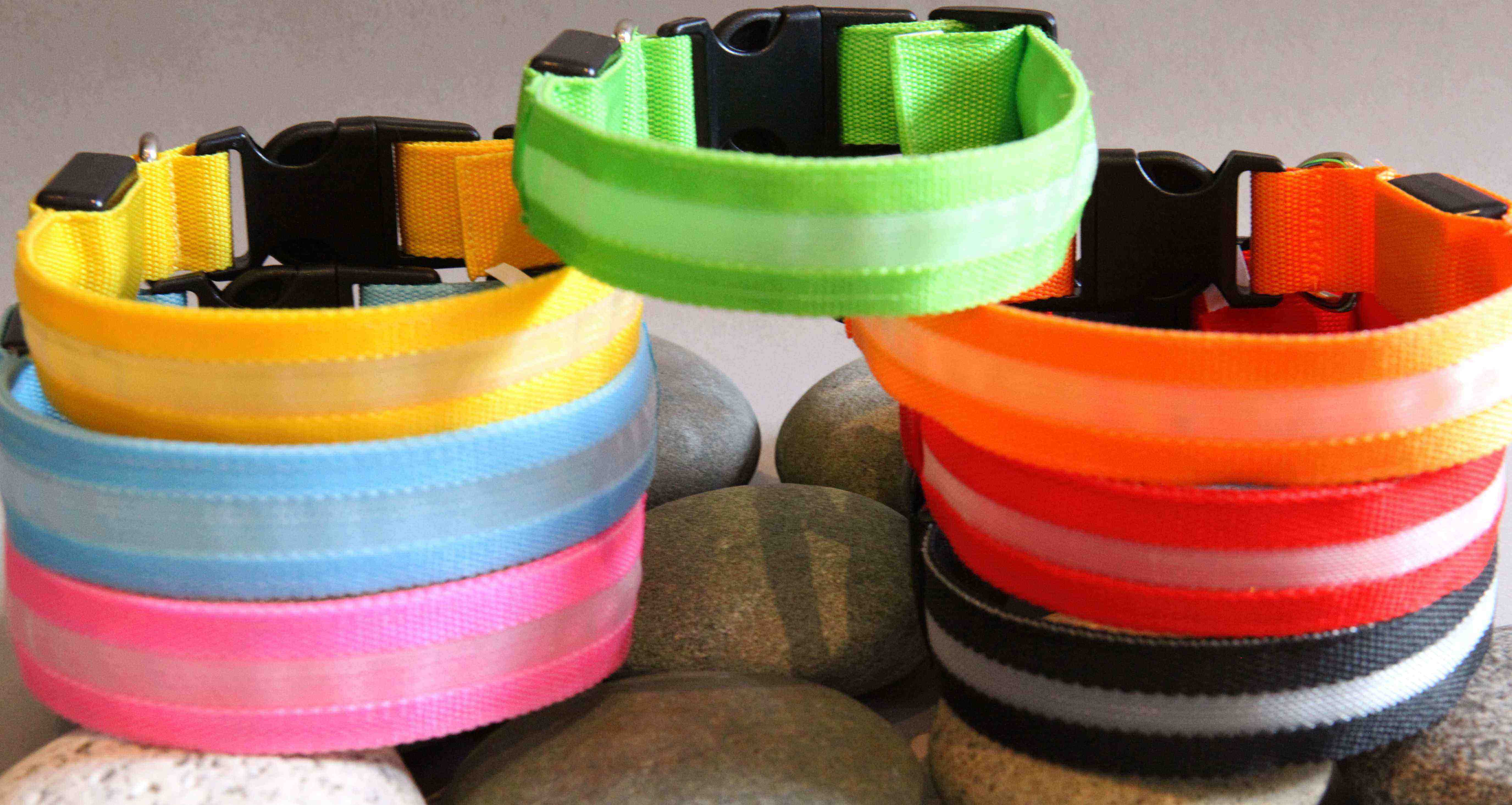 Glow In The Dark Dog Collar Sammy and Stone From beds to leashes