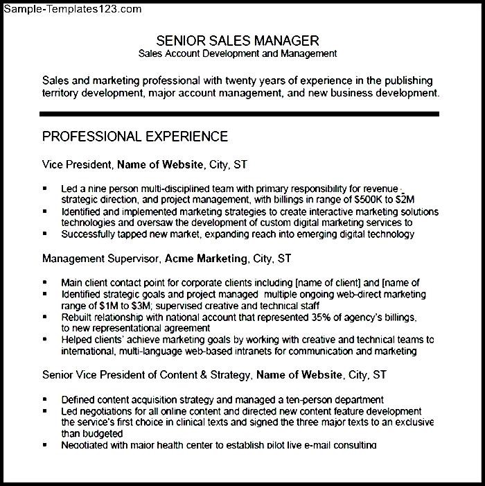 Sales Manager Resume PDF Sample Templates