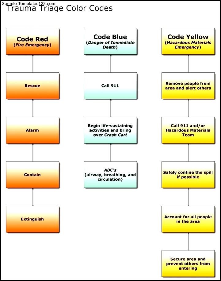 Triage Color Code System