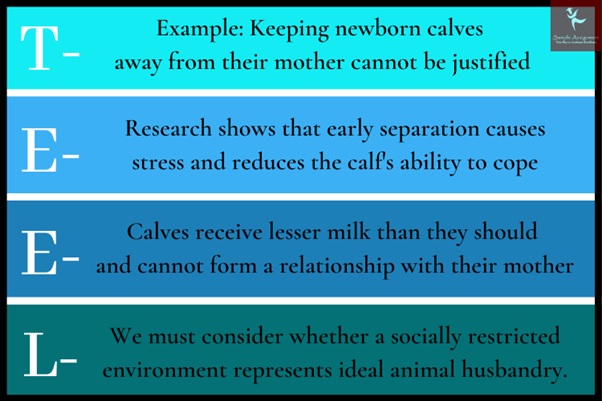 Teel Structure What is the Teel Structure in Essays? Tips to Write