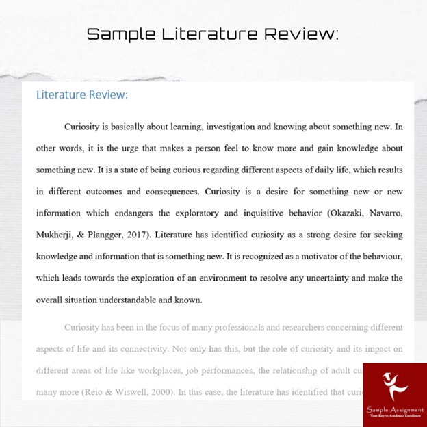 Dissertation Literature Review Help & Writing Service Australia