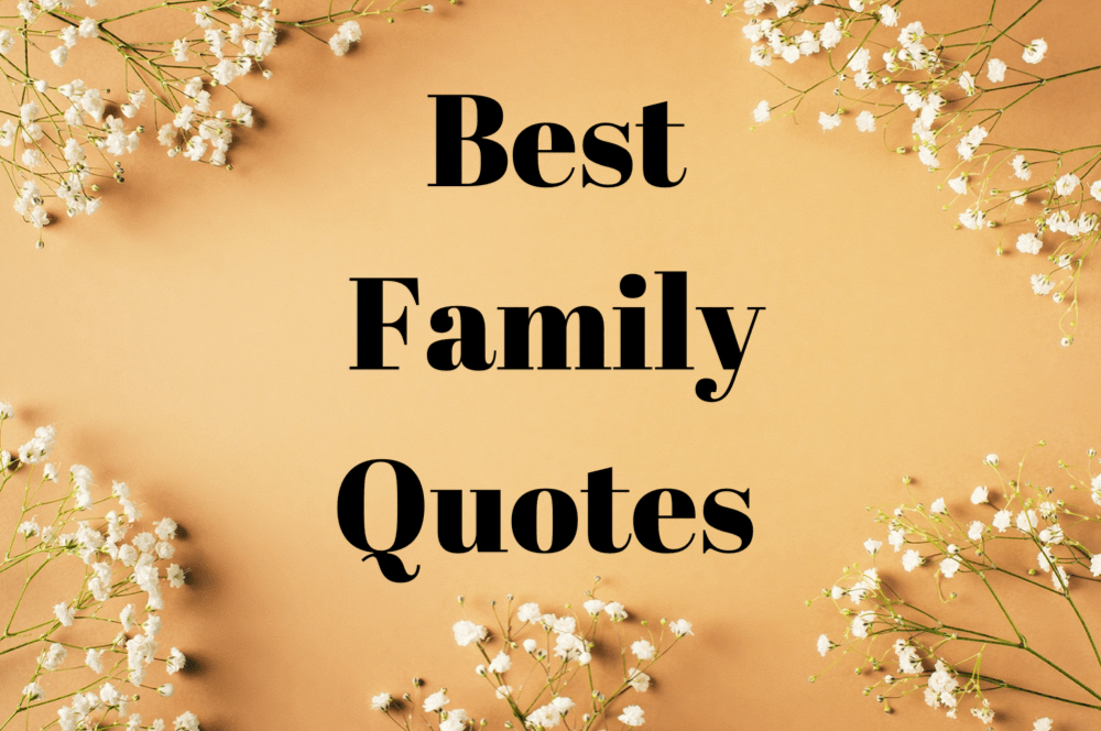 Family Quotes Sample Posts