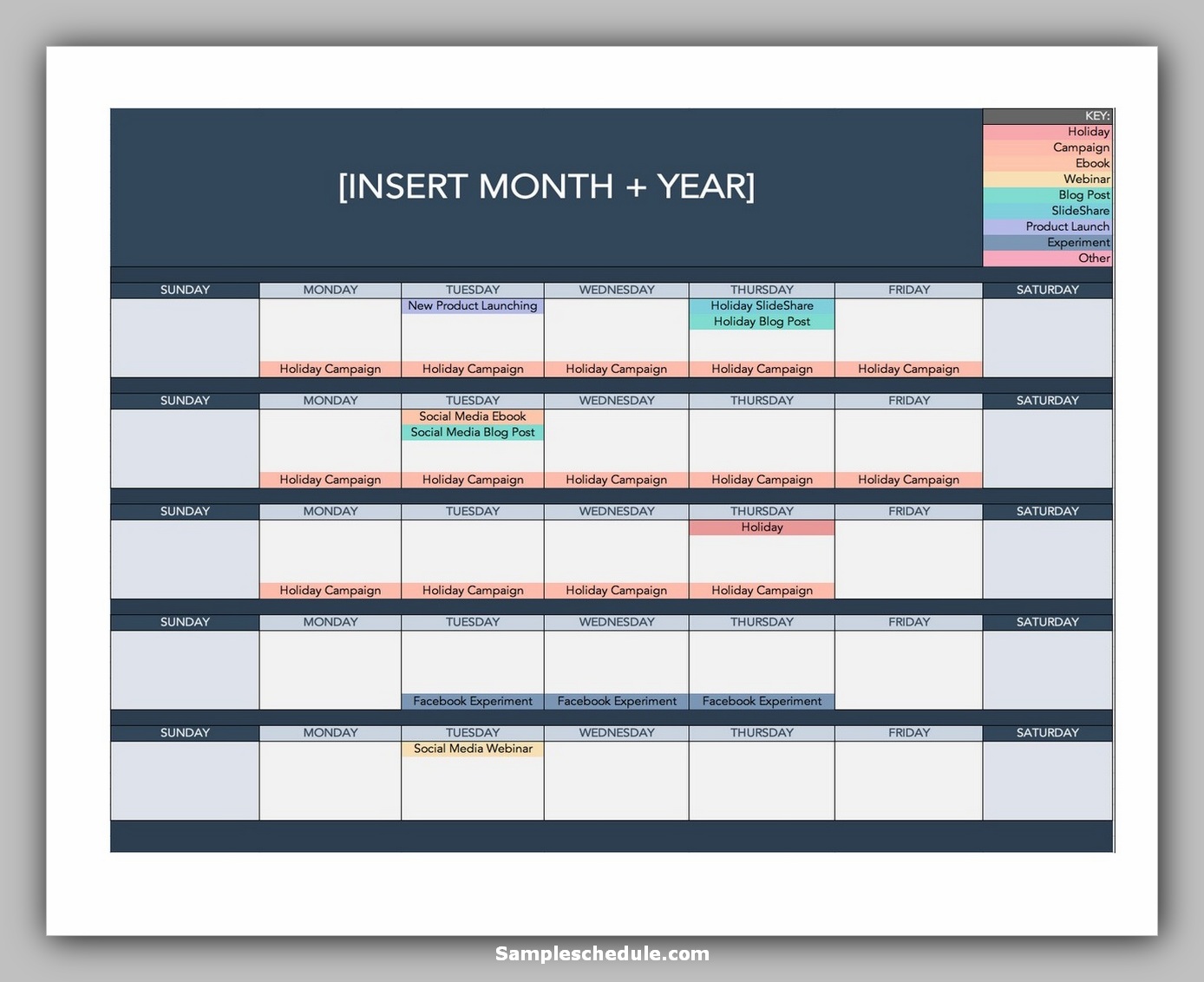 10+ Social Media Schedule Template