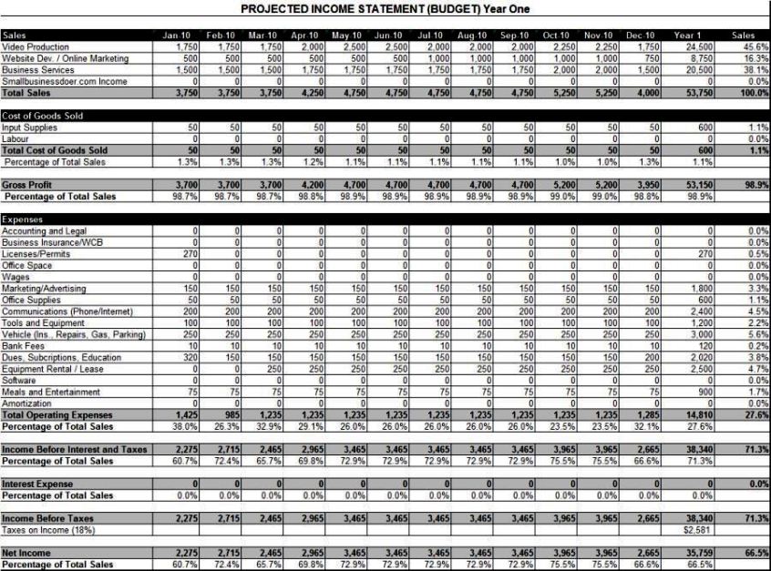 Projected Financial Statements Template SampleTemplatess SampleTemplatess