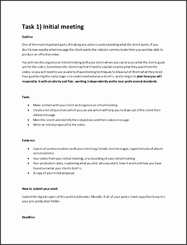 5 How to Make Project Outline SampleTemplatess