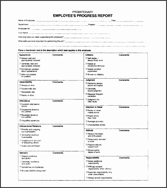 8 Monthly Report format Template Editable SampleTemplatess