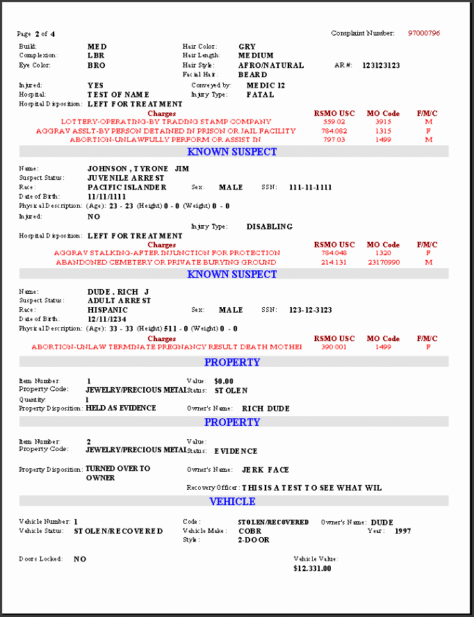 6+ Police Report Template Online SampleTemplatess SampleTemplatess