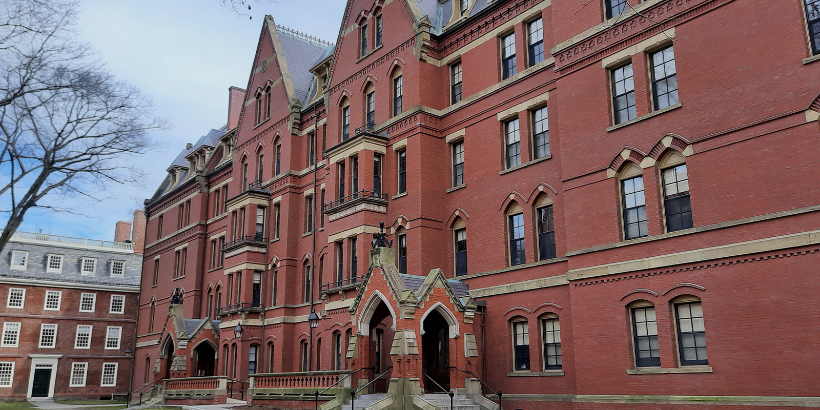 Harvard Review Our Get Funded Programme and How It's Transforming the