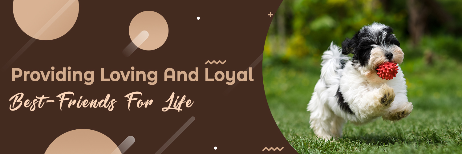 Samuel Yoder Homepage