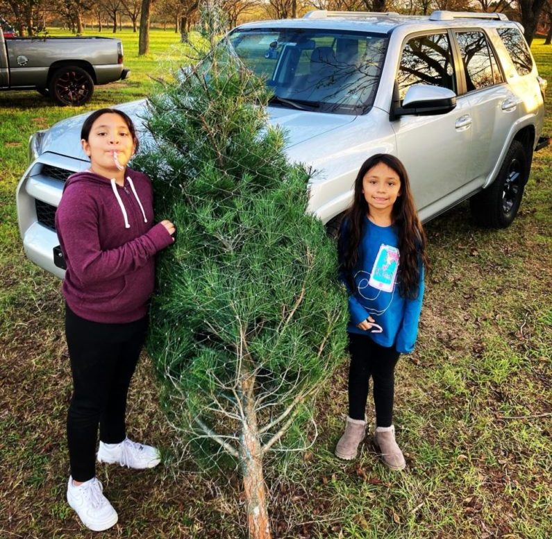 9 Best Christmas Tree Farms in San Antonio 2023