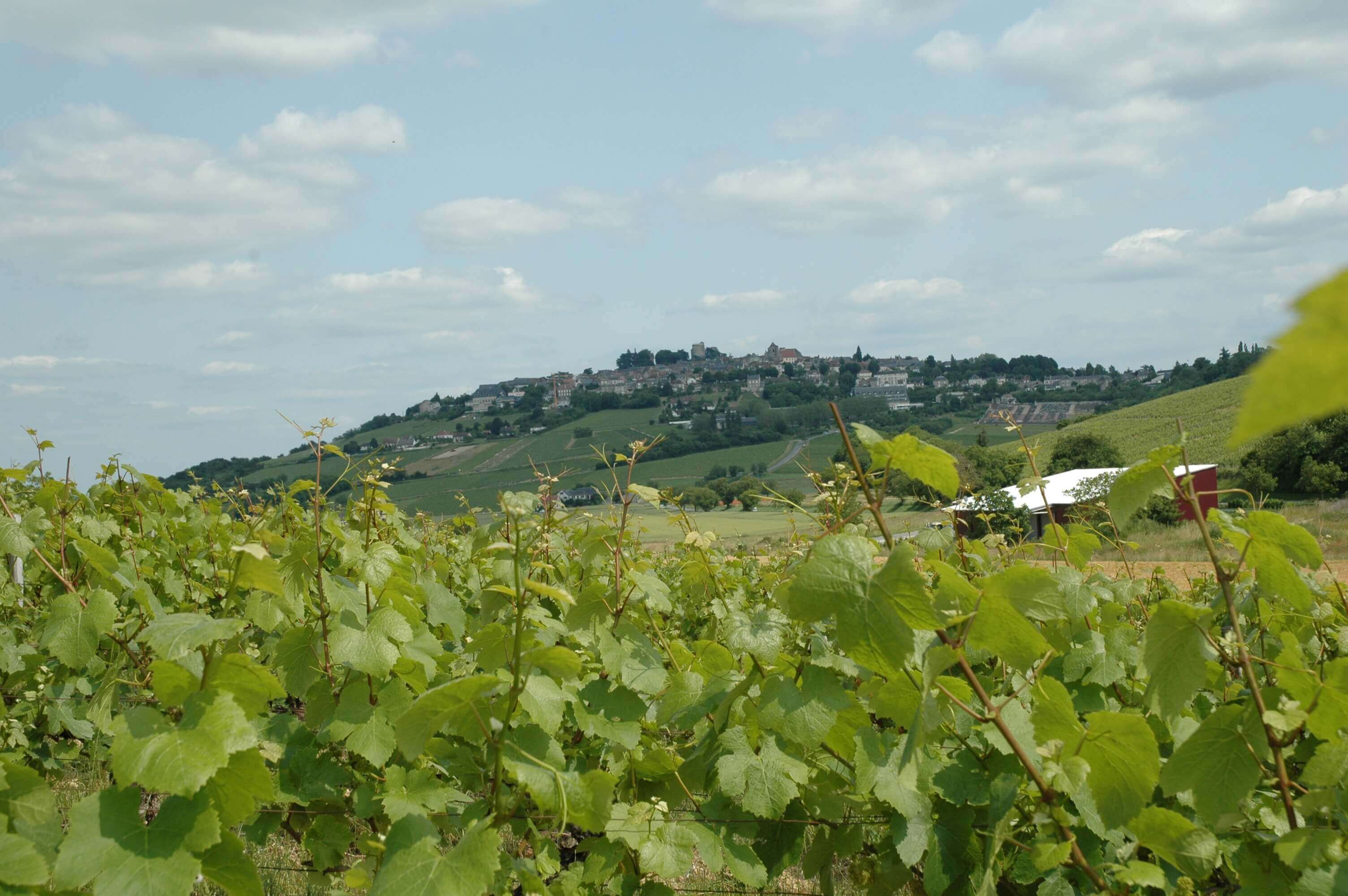 Nous contacter Domaine Lesimple & Fils