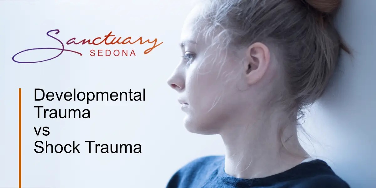 Developmental Trauma vs Shock Trauma The Sanctuary