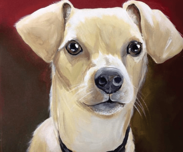 SANDEE DESIGN Pet Portraits