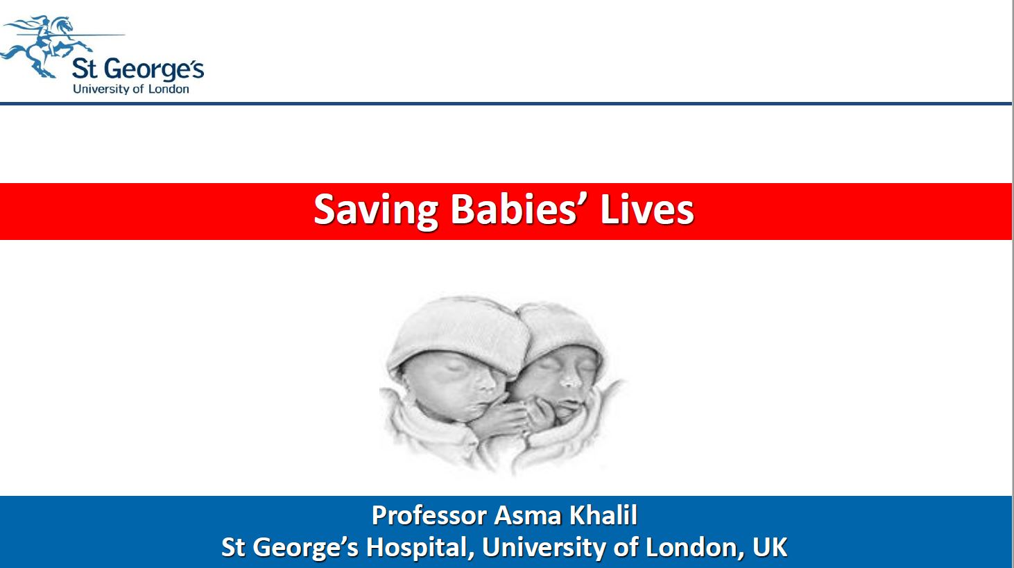 Saving Babies Lives presentation Sands Stillbirth and neonatal