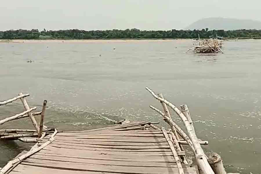 বৃষ্টিহীন পশ্চিম বর্ধমান, তবু ভেসে গেল দামোদরের অস্থায়ী সেতু, কারণ ঘিরে ধোঁয়াশা