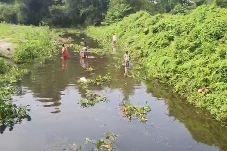 Unscrupulous merchants accused of poisoning fish in rivers