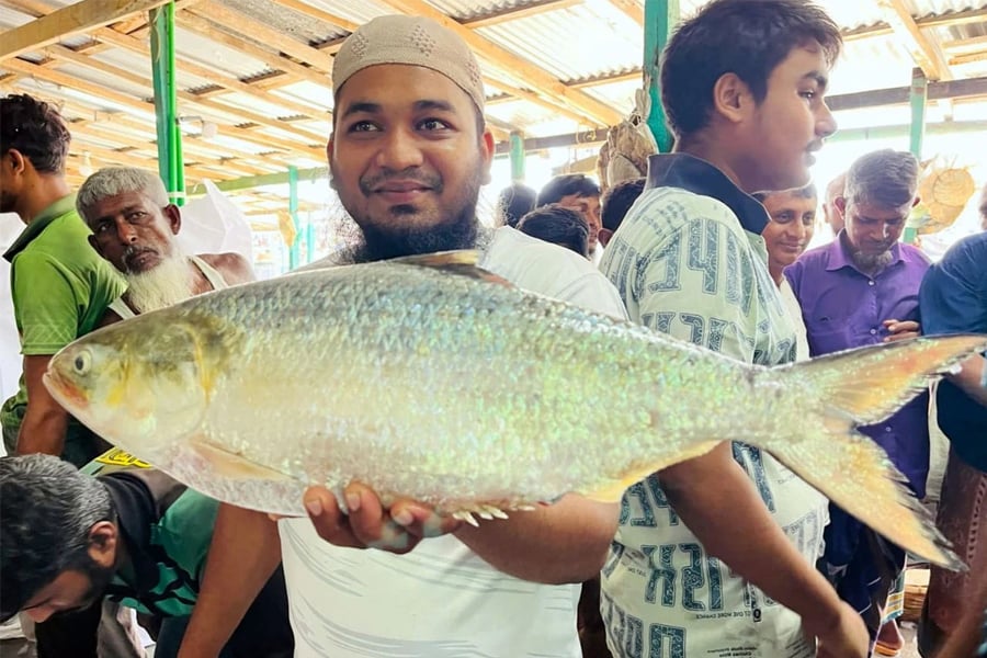 স্বাদের কোনও দাম হয় না! বাংলাদেশে আড়াই কেজির ইলিশ বিকোল ১৪ হাজার টাকায়