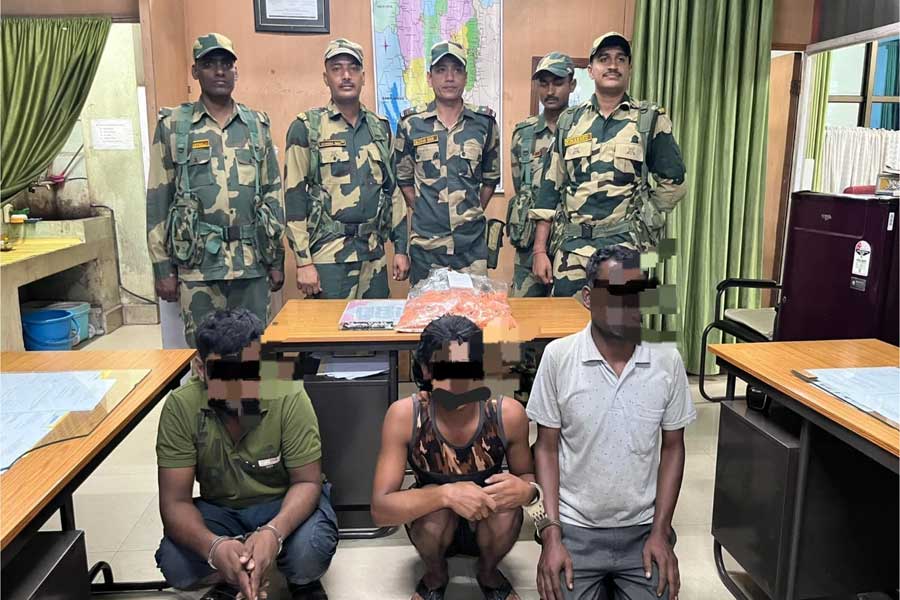 উৎসবের মরশুমে বড় সাফল্য! প্রায় সাত কোটিরও বেশি মূল্যের ইয়াবা বাজেয়াপ্ত বিএসএফের