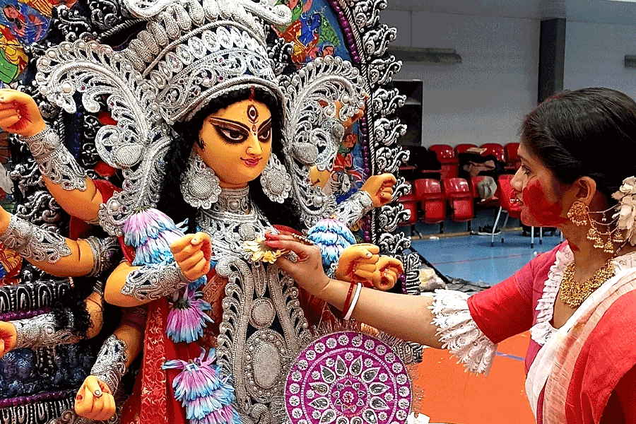 বাল্টিক সাগরের তীরে কাশফুলের দোলা! কোপেনহেগেনের এই পুজো স্ক্যান্ডিনেভিয়ার বৃহত্তম শারদোৎসব