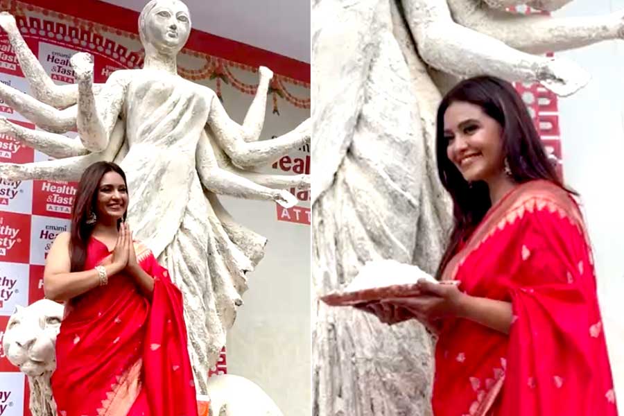 Emami Wholesome & Tasty celebrates Durga Puja with a novel idol of Maa Durga crafted from atta