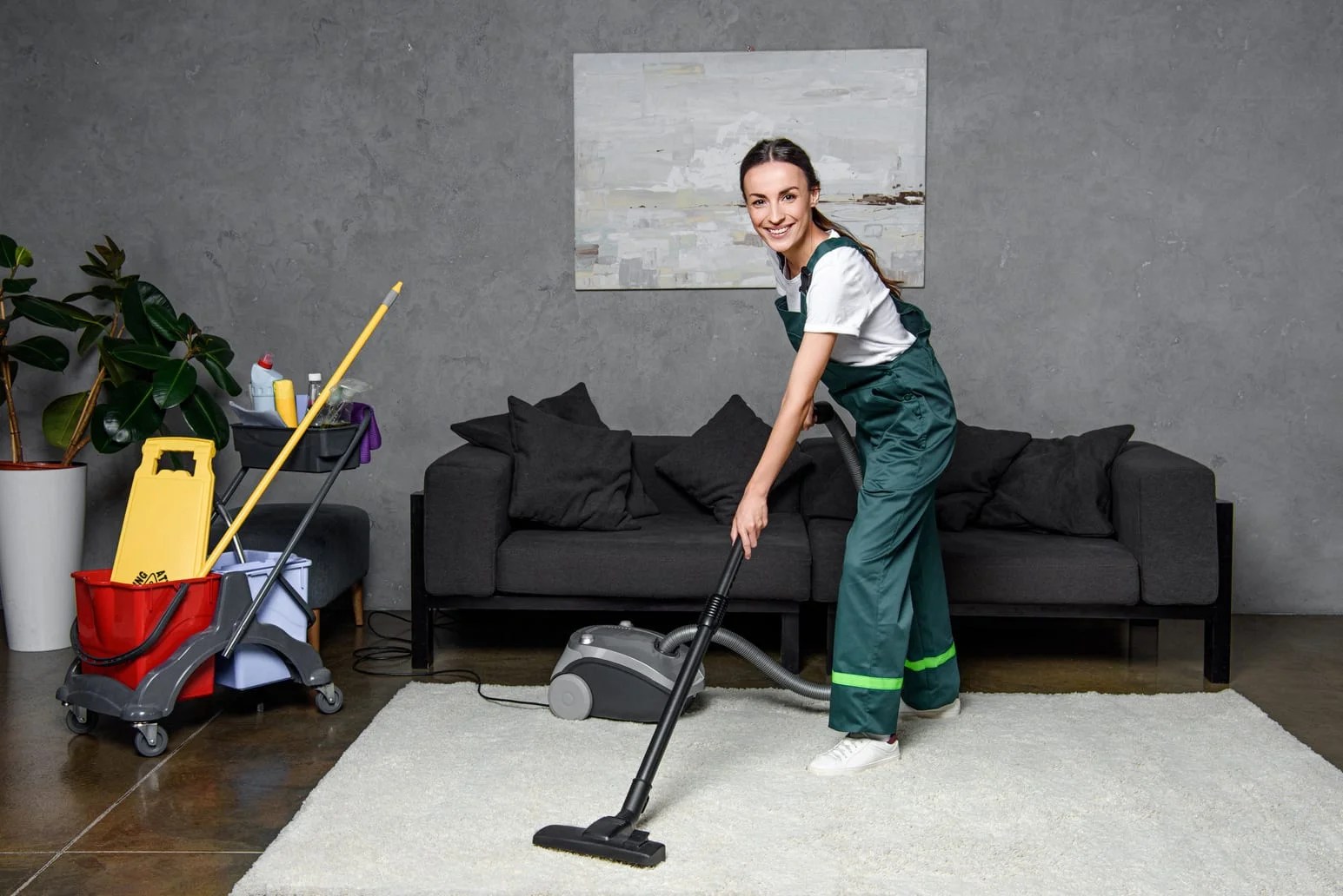 The Complete Guide To Carpet Cleaning In Seattle SaniClean Dry Carpet Cleaning