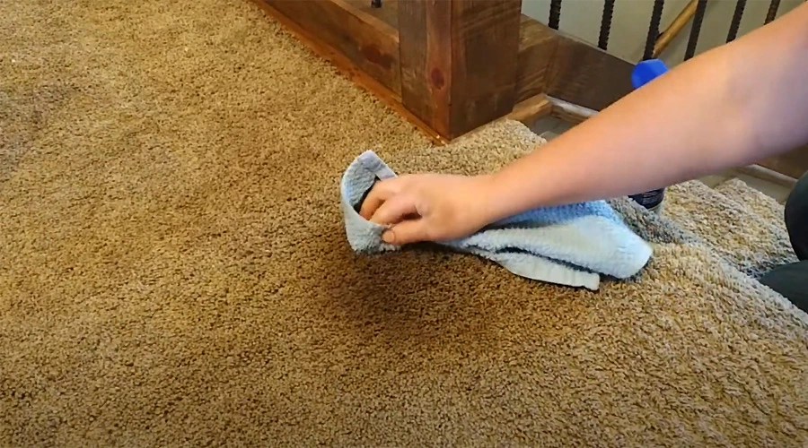 How to remove wood stains from carpet Sanitisation Singapore