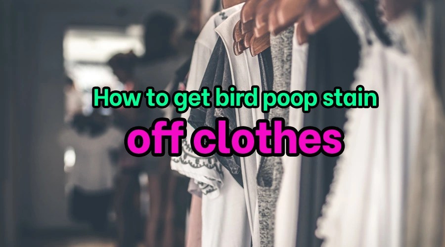 3 Simple Steps to get Bird Poop Stain off Clothes [SOLVED]