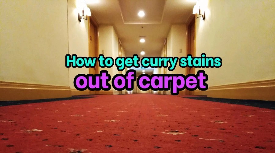How to Get Curry out of Carpet [Steybystep Guide]