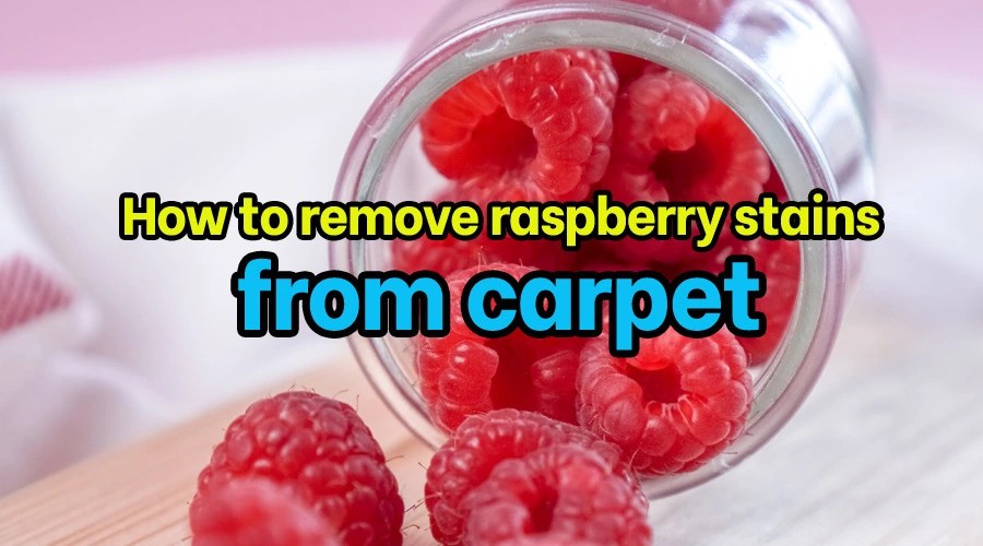 9 Steps to remove raspberry stain from carpet [For Beginners]