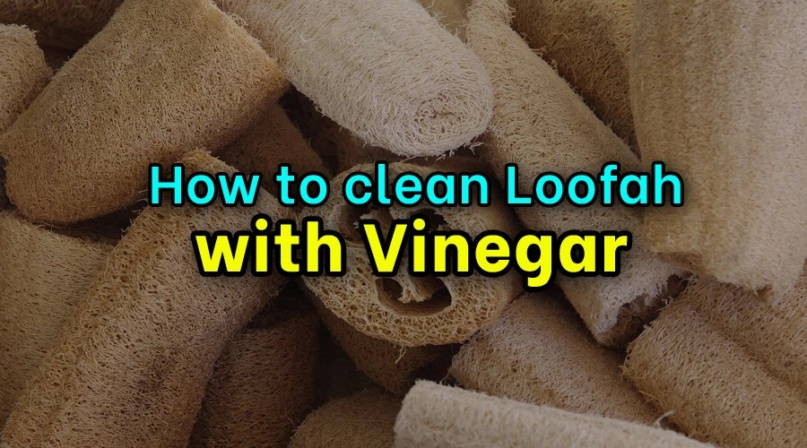 How to Clean Loofah with Vinegar Sanitisation Singapore