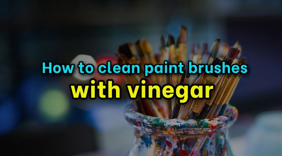 How to clean paint brushes with vinegar Sanitisation Singapore