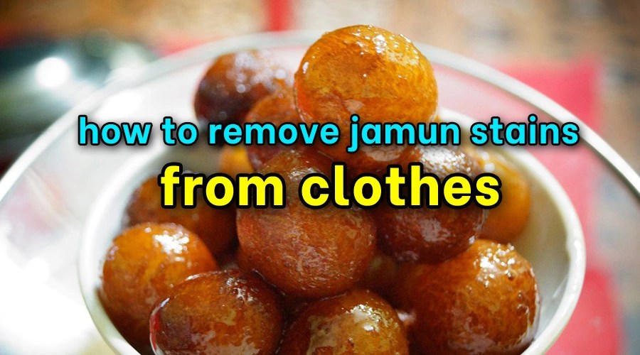 How to remove Jamun stains from clothes Sanitisation Singapore