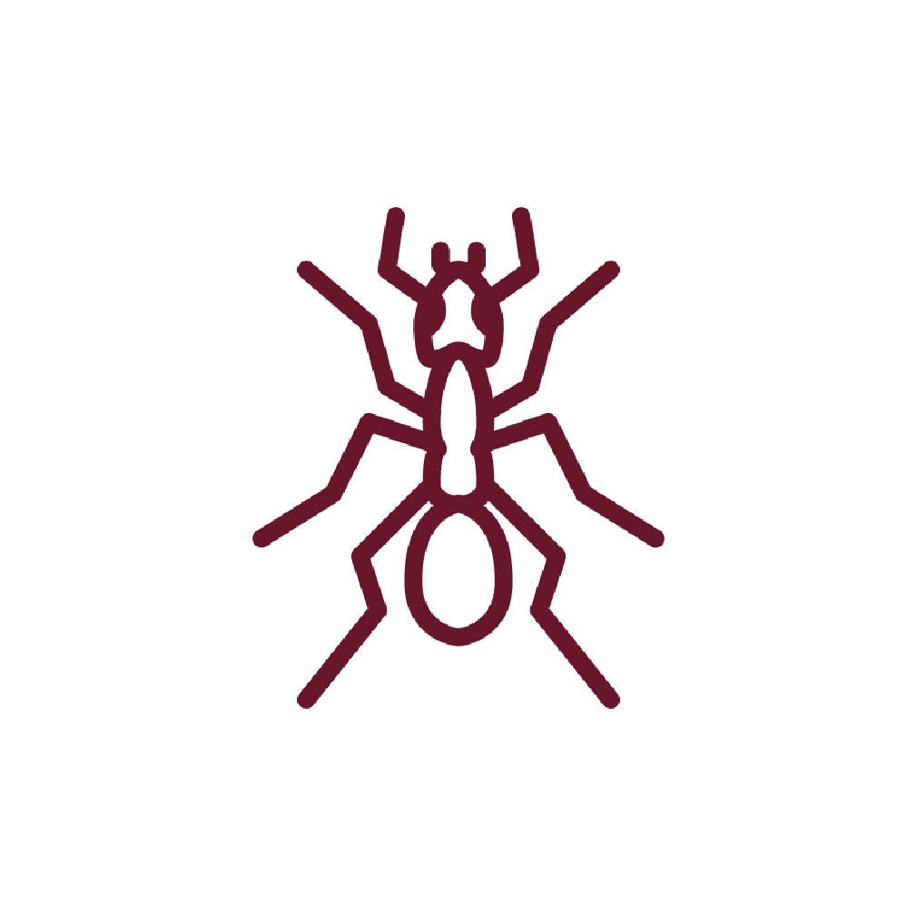 Fresno County San Joaquin Pest Control