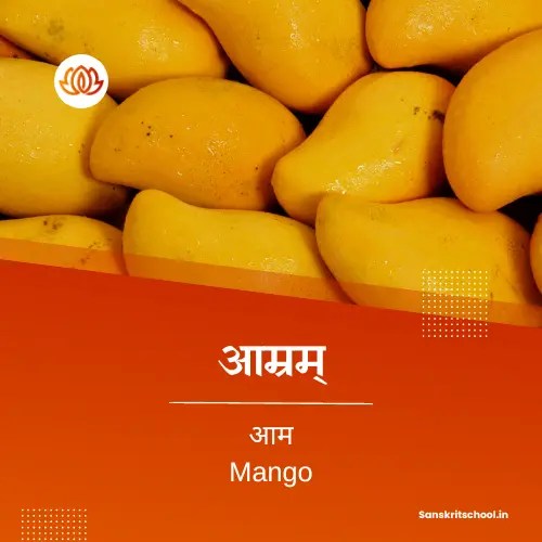 Fruits Name in Sanskrit संस्कृत में फलों के नाम Sanskrit School