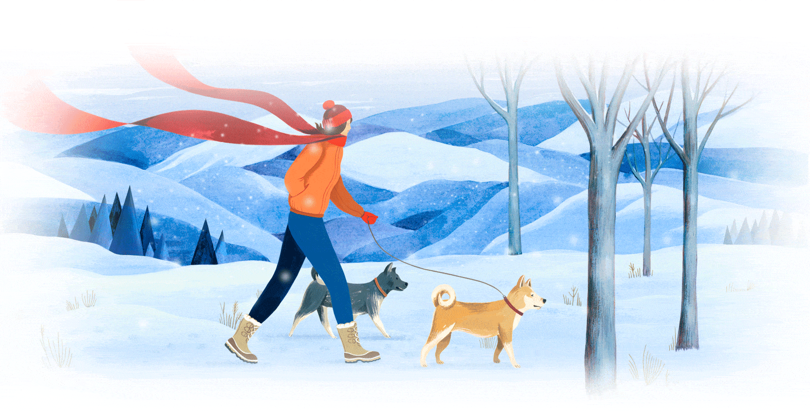 Santa Fe, New Mexico Real Estate Abigail Davidson