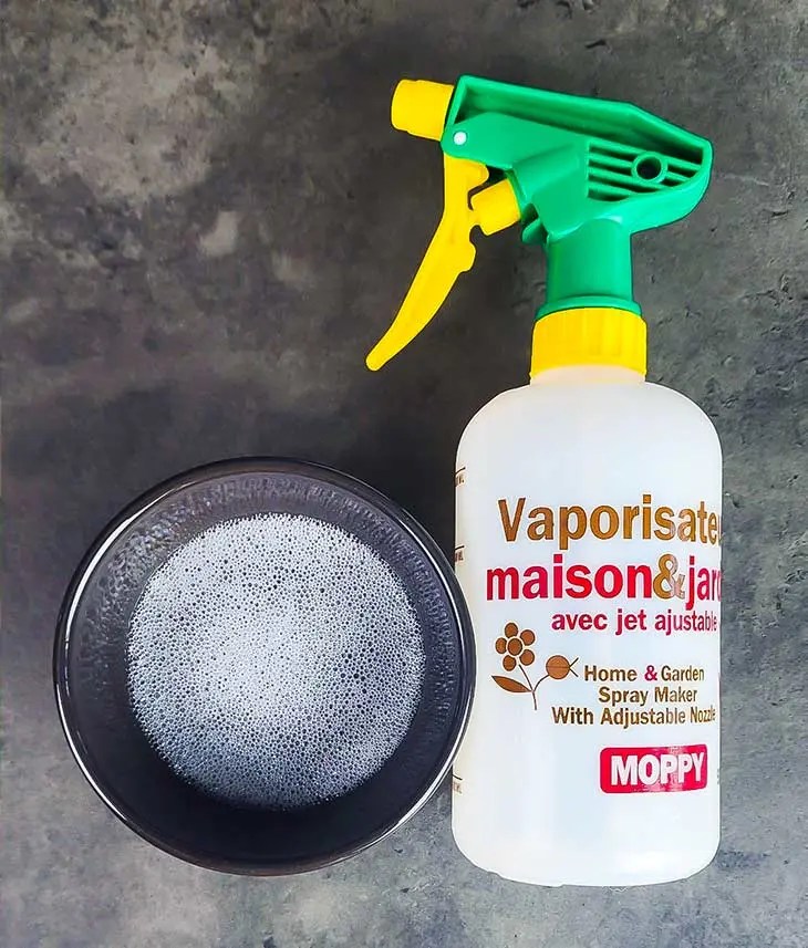 Recette de désherbant naturel au bicarbonate et vinaigre