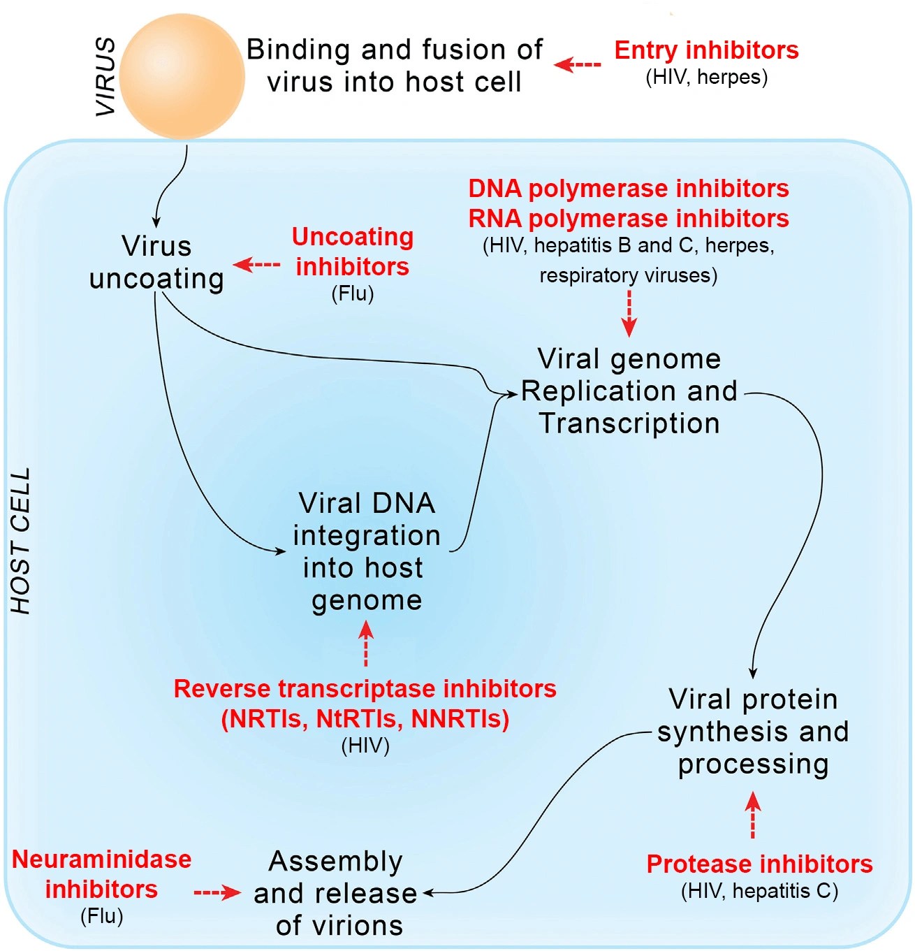 Antiviral drugs Santiago lab
