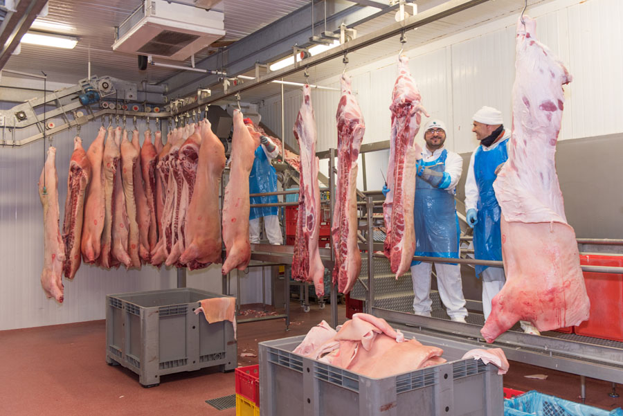 Produzione carni suine di maiale e di scrofa Flli. Santi