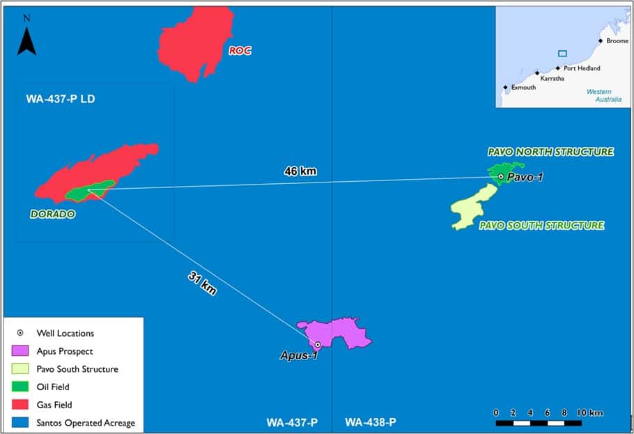 Significant Pavo oil discovery near Dorado development Santos