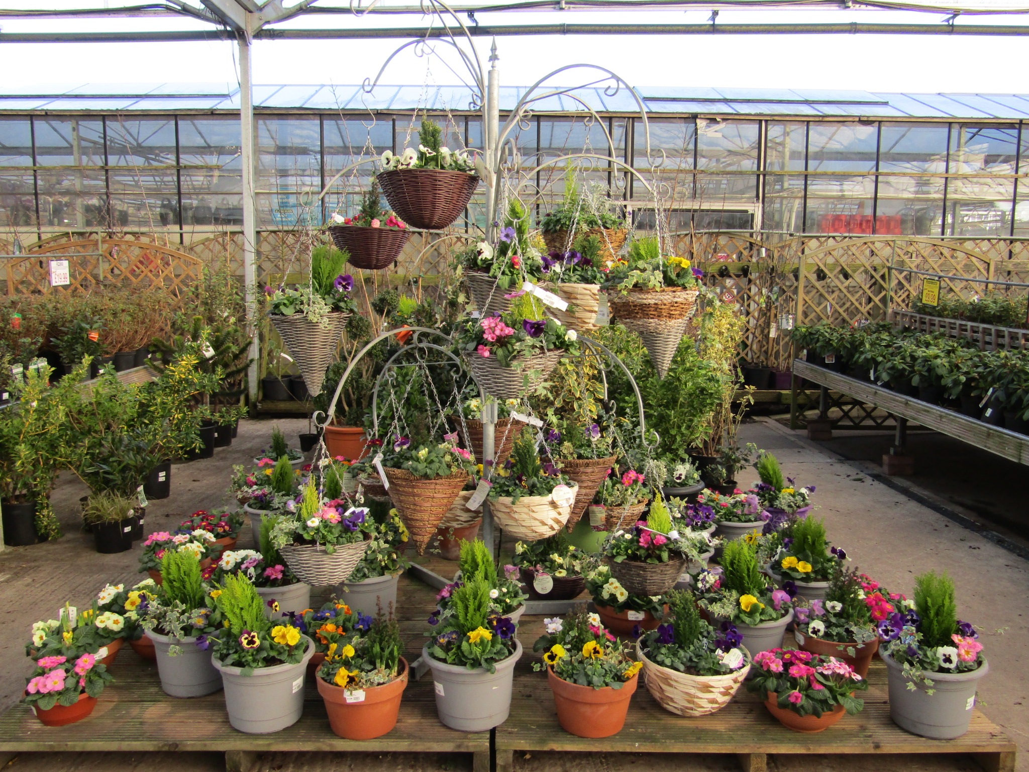 Sapcote Garden Centre (Leicester's 1) Christmas Open