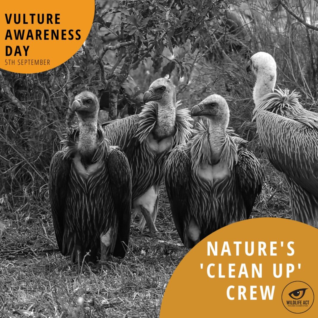 Vultures are Nature's Cleaning Crew! SAPeople Worldwide South