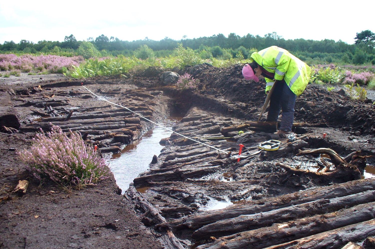 Peat Bogs Bodies