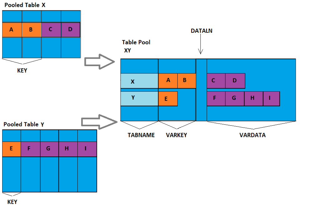 Types of Tables in SAP Free SAP Online Training Tutorial