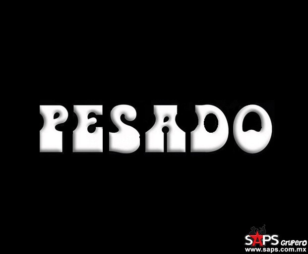 Pesado Biografía