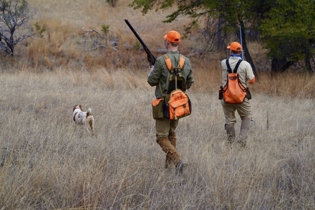 Hunting Quail with the Garmin Alpha 100 Video Southern Arizona Quail