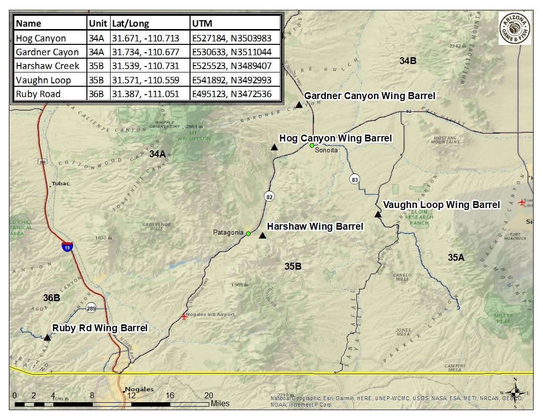 Mearns Quail Wing Barrels Southern Arizona Quail Forever