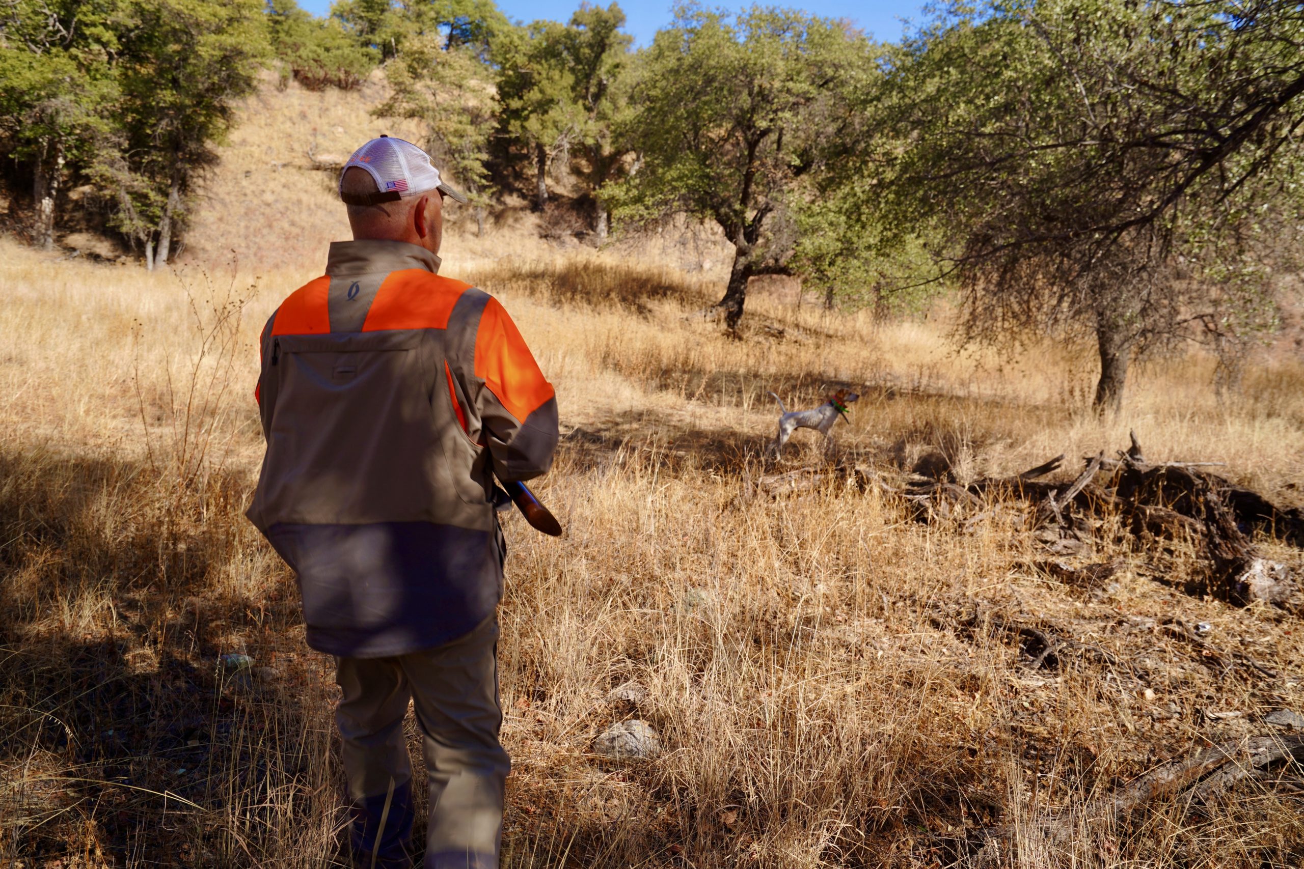 March Newsletter Southern Arizona Quail Forever