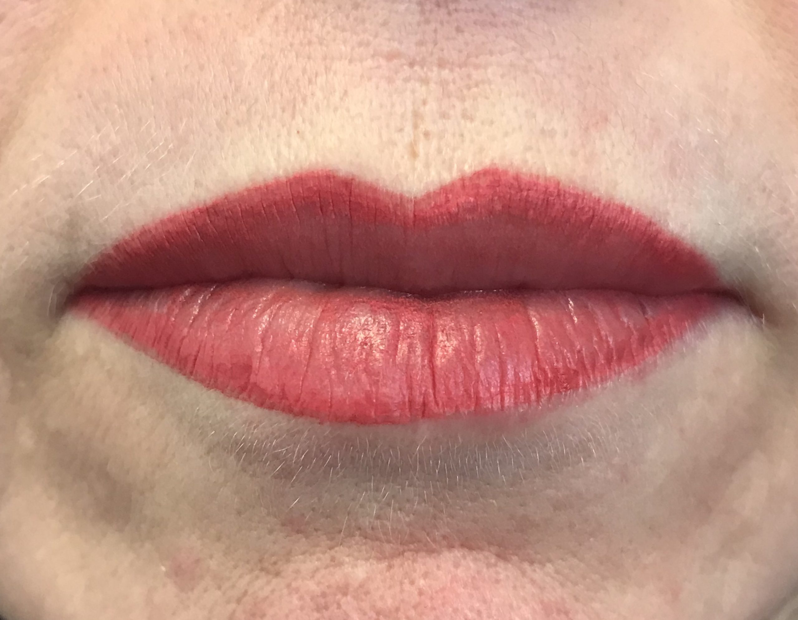 Permanent Lipstick 3 stunning techniques to choose from.