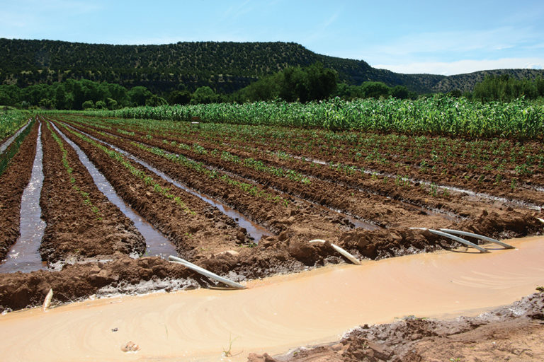 Irrigation Systems SARE